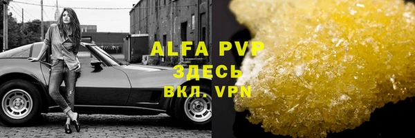 прущие крисы Абаза