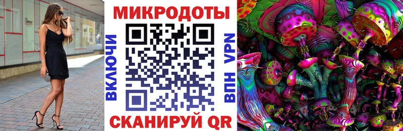 Галлюциногенные грибы прущие грибы  Курчатов 